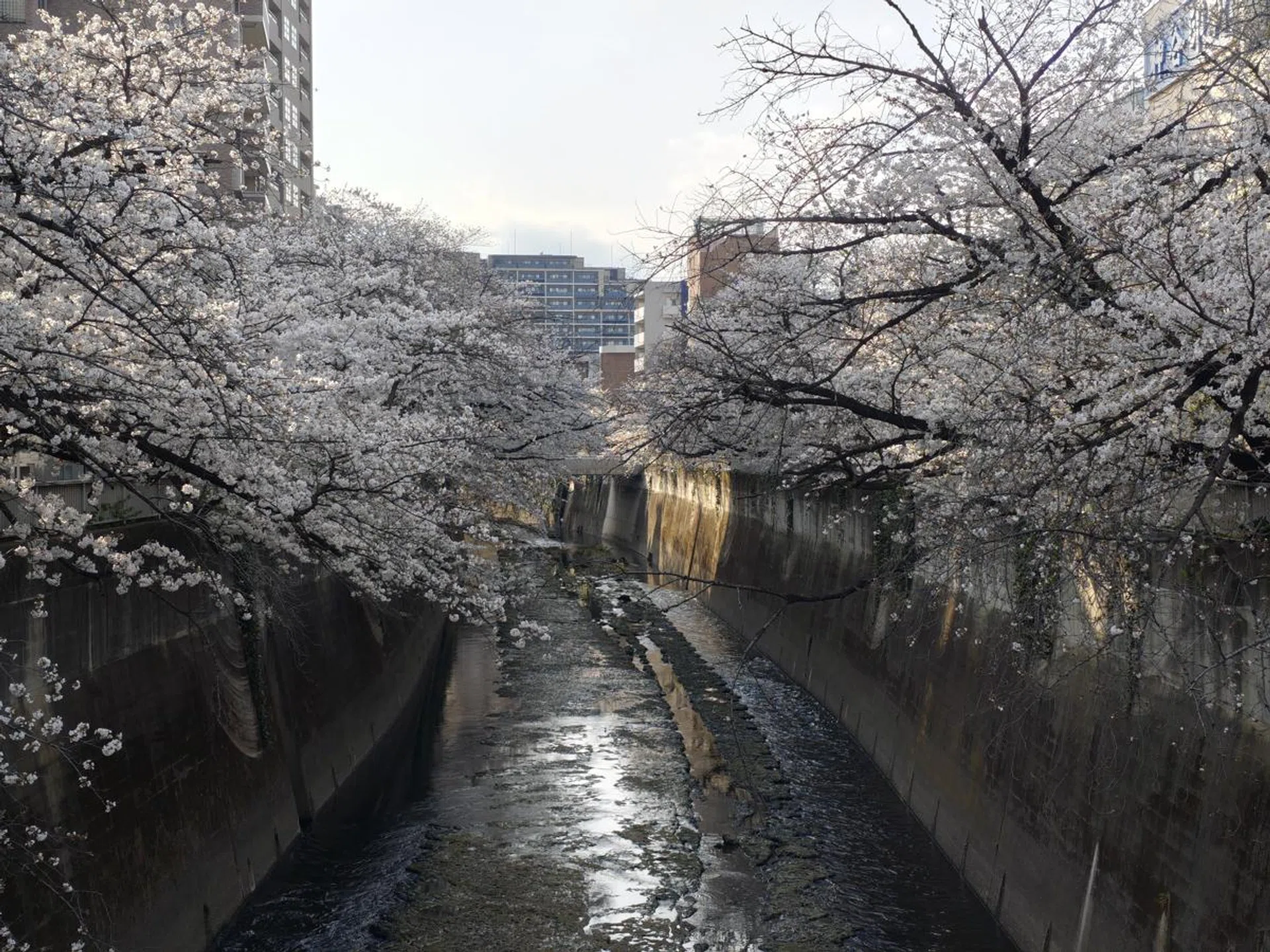 2x digital zoom. Photo: HWZ.