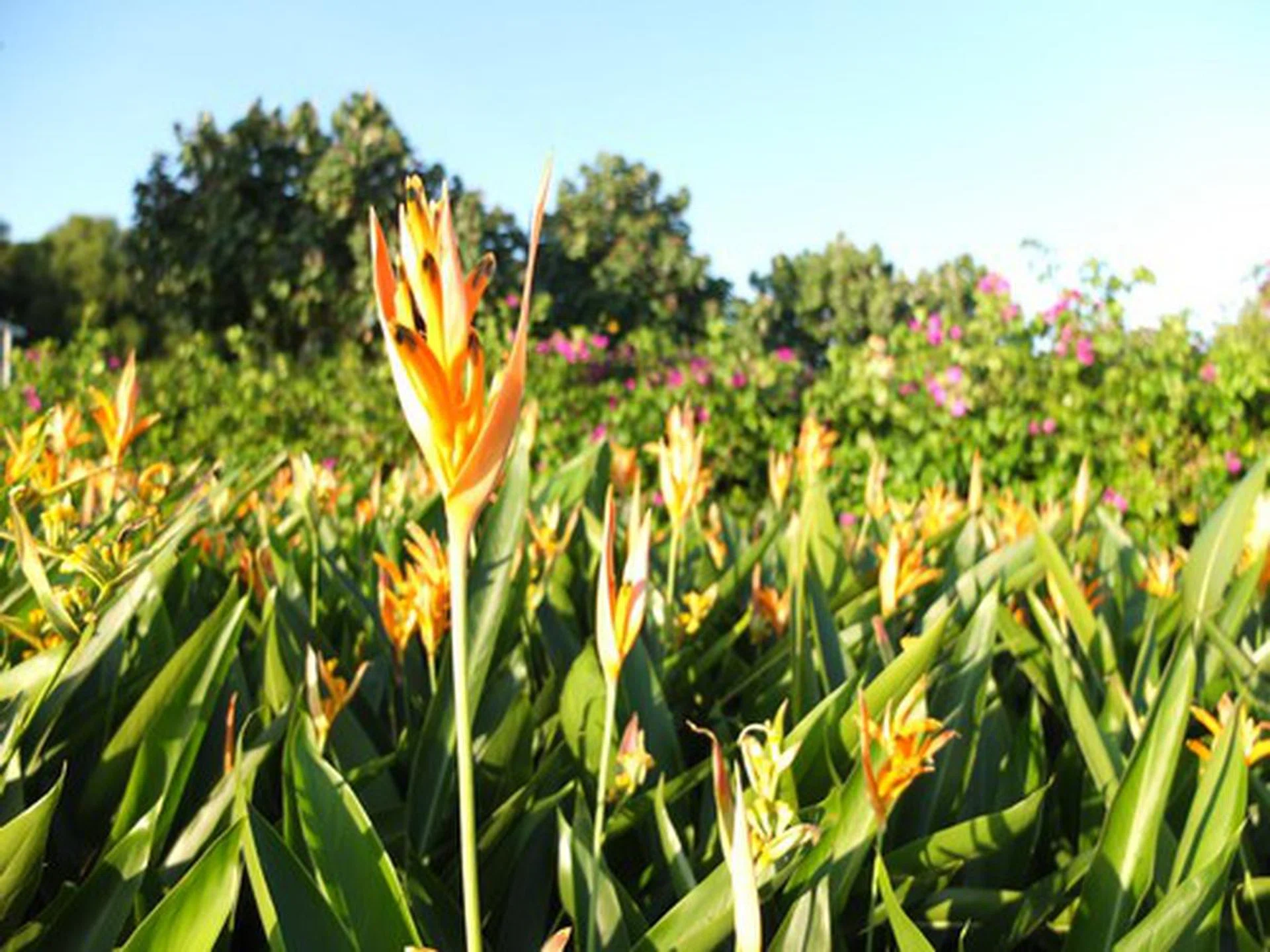 f/2 at 28mm (35mm equivalent), 1/1000 sec, ISO100.