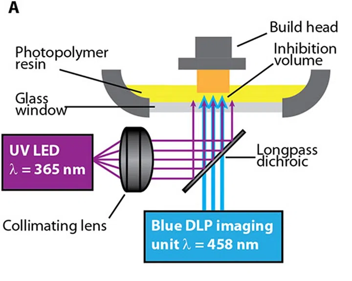 The photopatterned polymerization inhibition technique of the new 3D printing process. (Image source: ScienceAdvances)