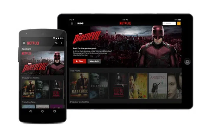 (Image source: Netflix)