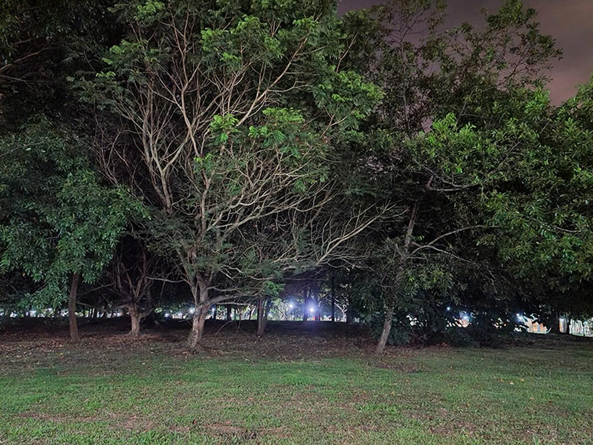 S20 Ultra Night mode on. (Click to view full-size image)