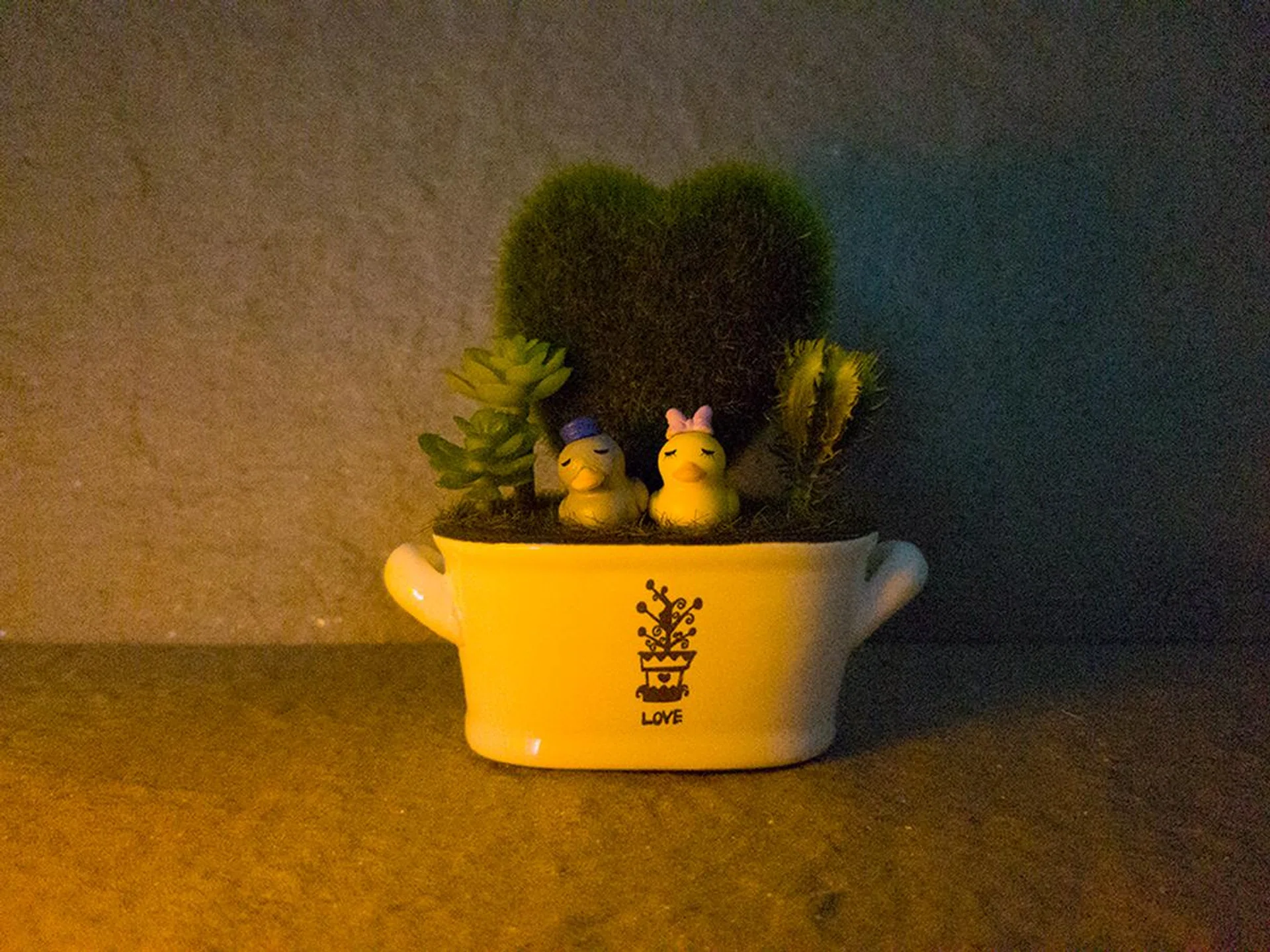 Samsung Galaxy S7 Edge. f/1.7 at 26mm, 1/10 sec, ISO 1250.