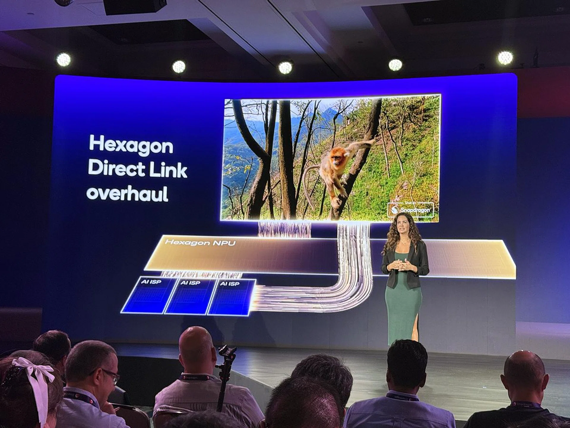 Hexagon Direct Link is even more direct on Snapdragon 8 Elite. Photo: HWZ.