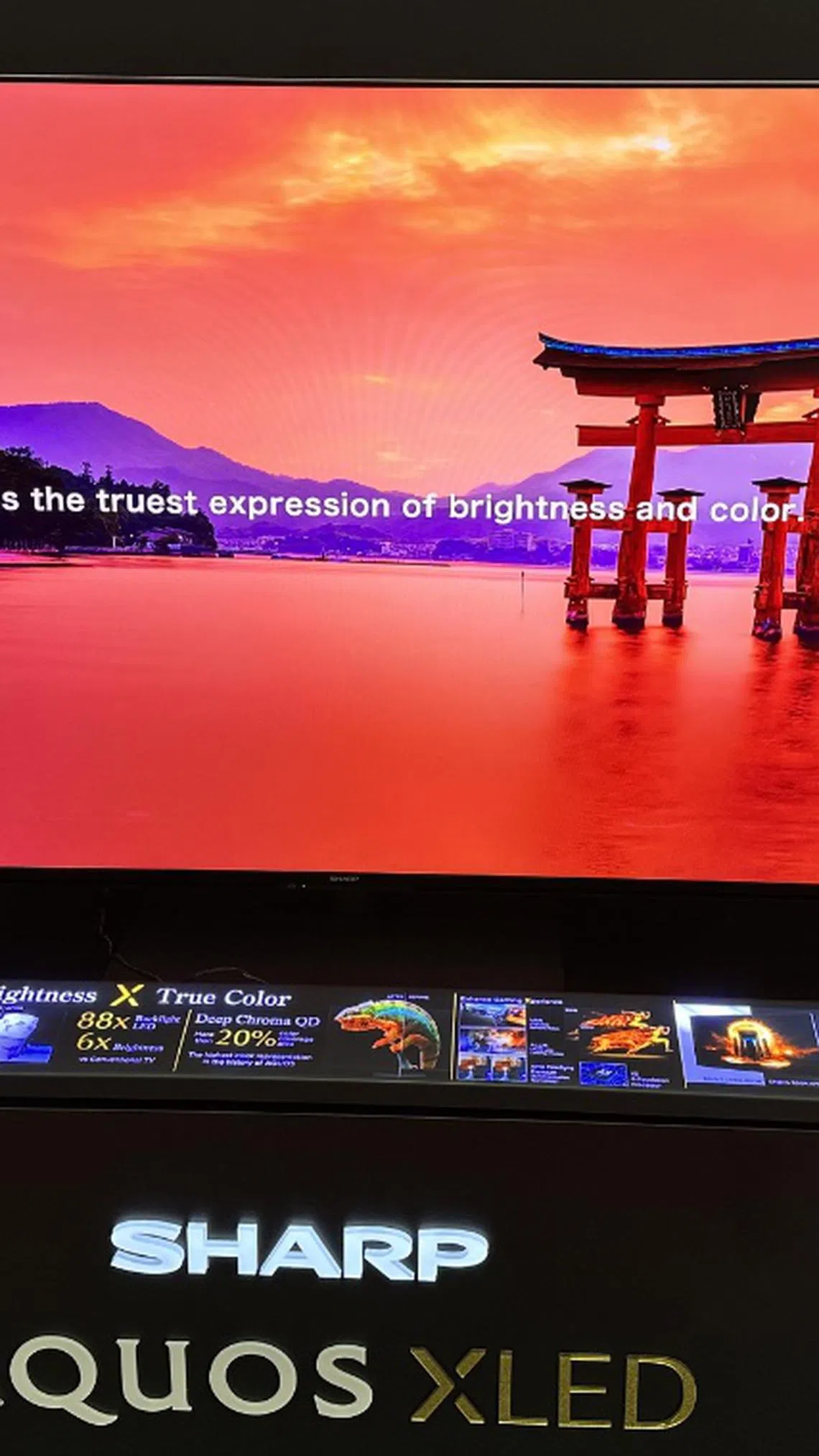 Sharp finally brings its AQUOS XLED TVs to the region