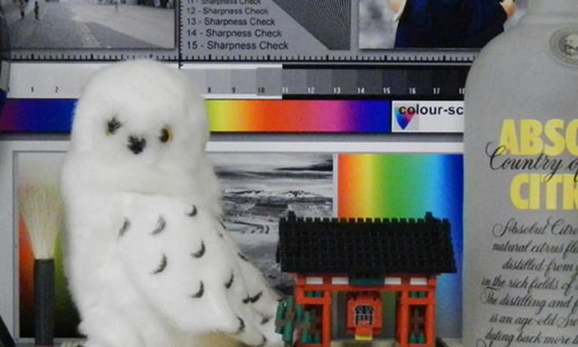 100% crop of our test scene shot at ISO1600.