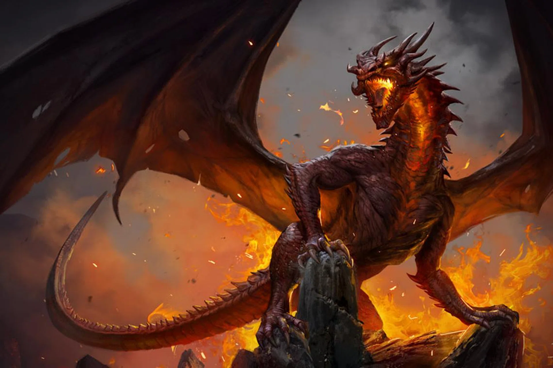 Image: 1C Entertainment