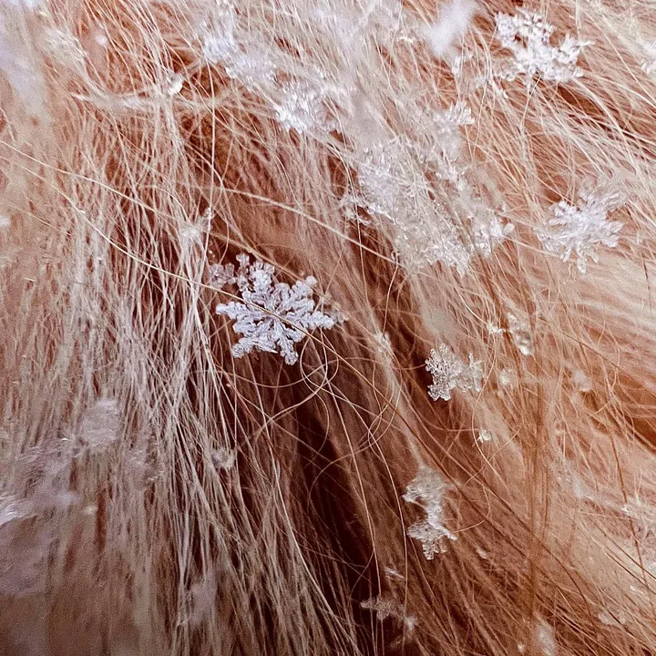 "Honeycomb" / Tom Reeves / iPhone 13 Pro