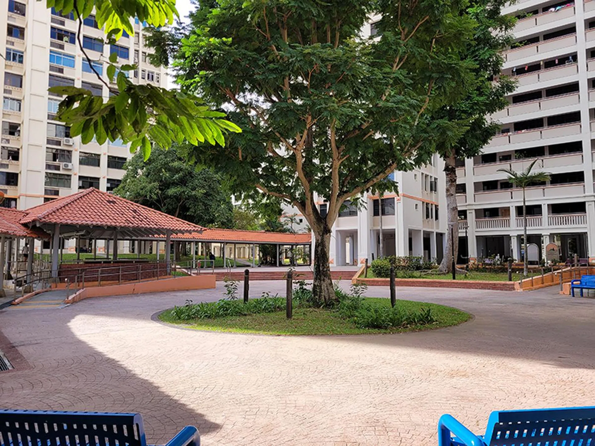 Main camera, no zoom.