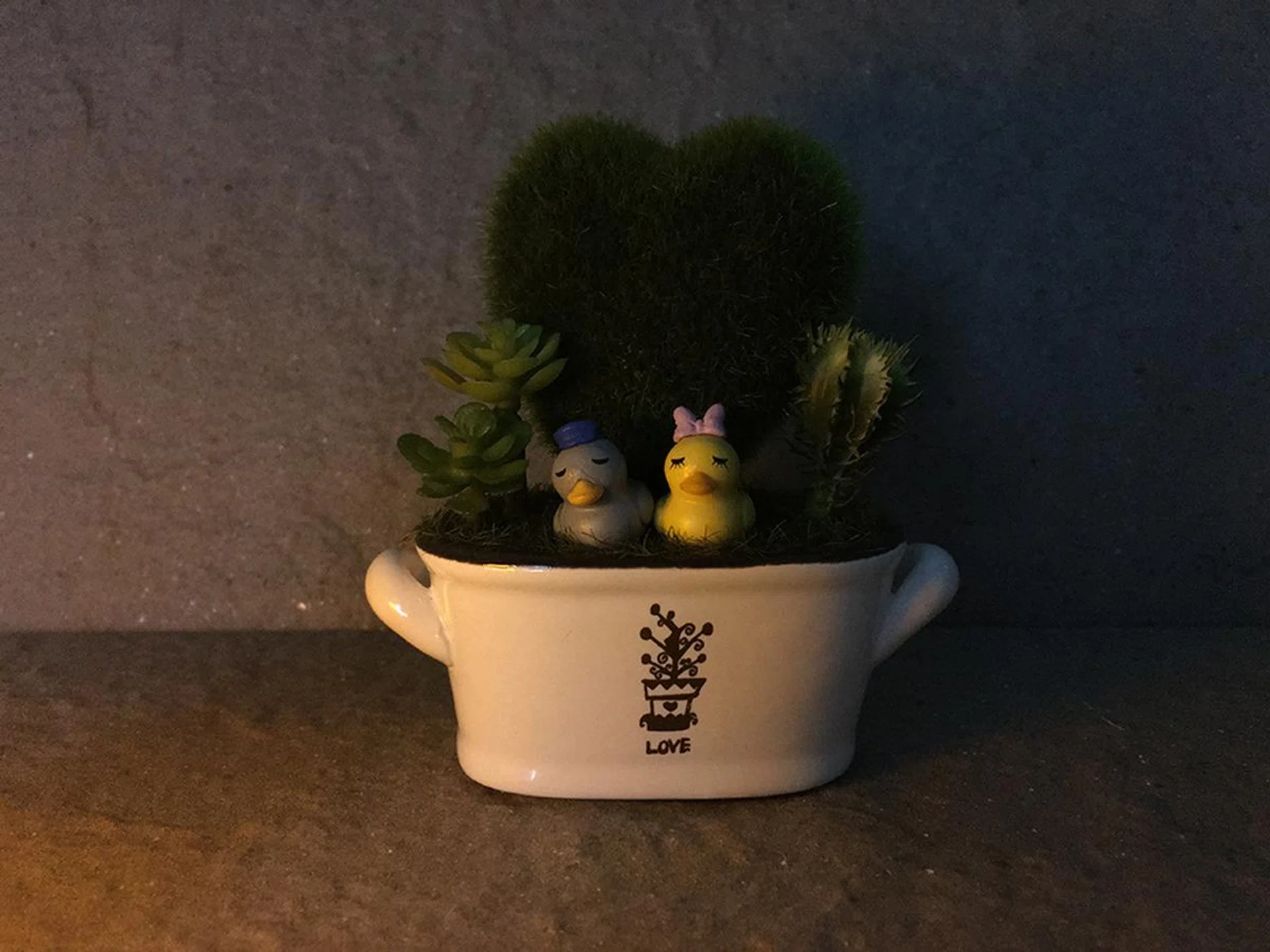 Apple iPhone 6s Plus. f/2.2 at 29mm, 1/4 sec, ISO 500.