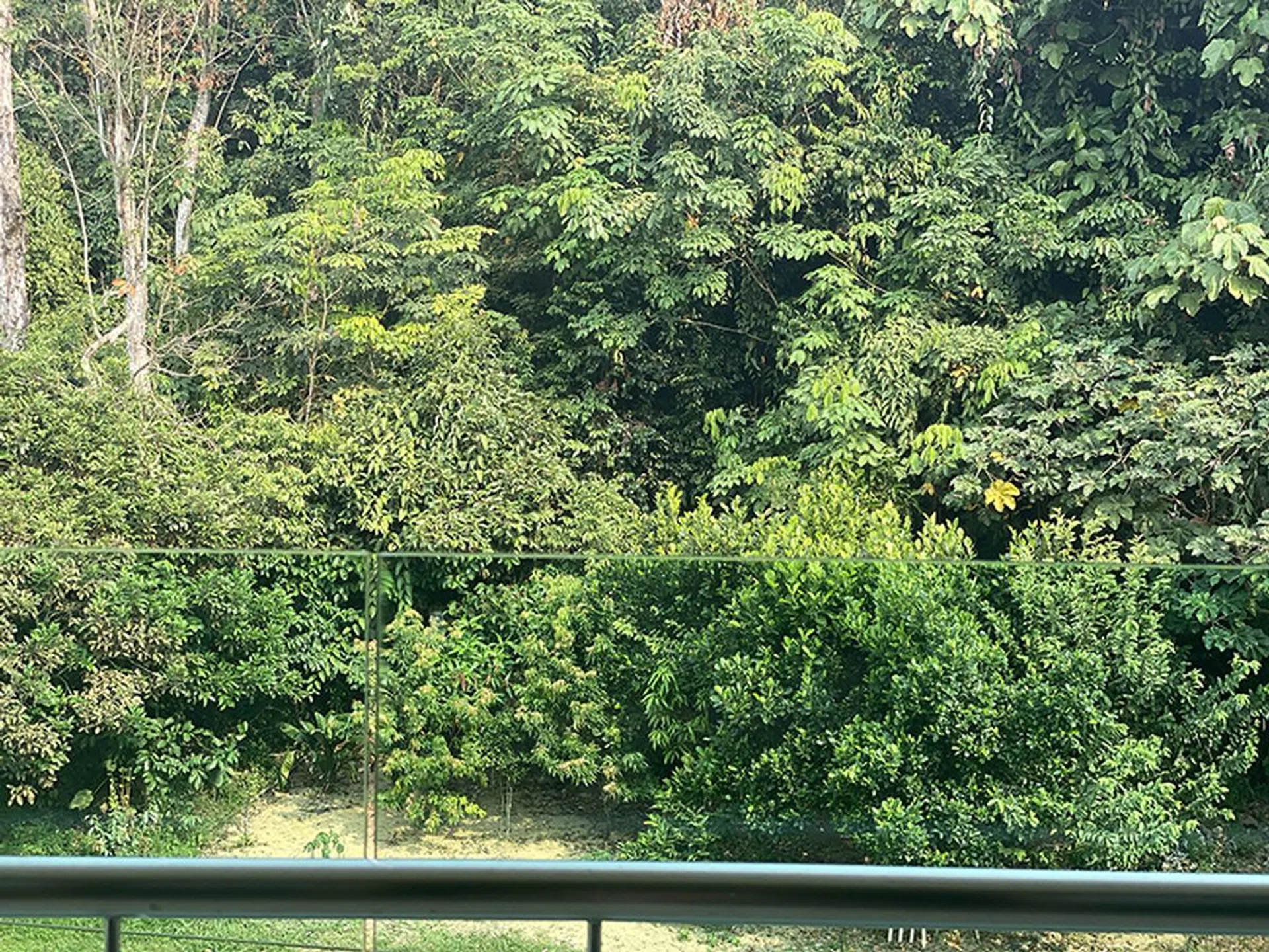 Taken with iPhone 11 Pro telephoto camera