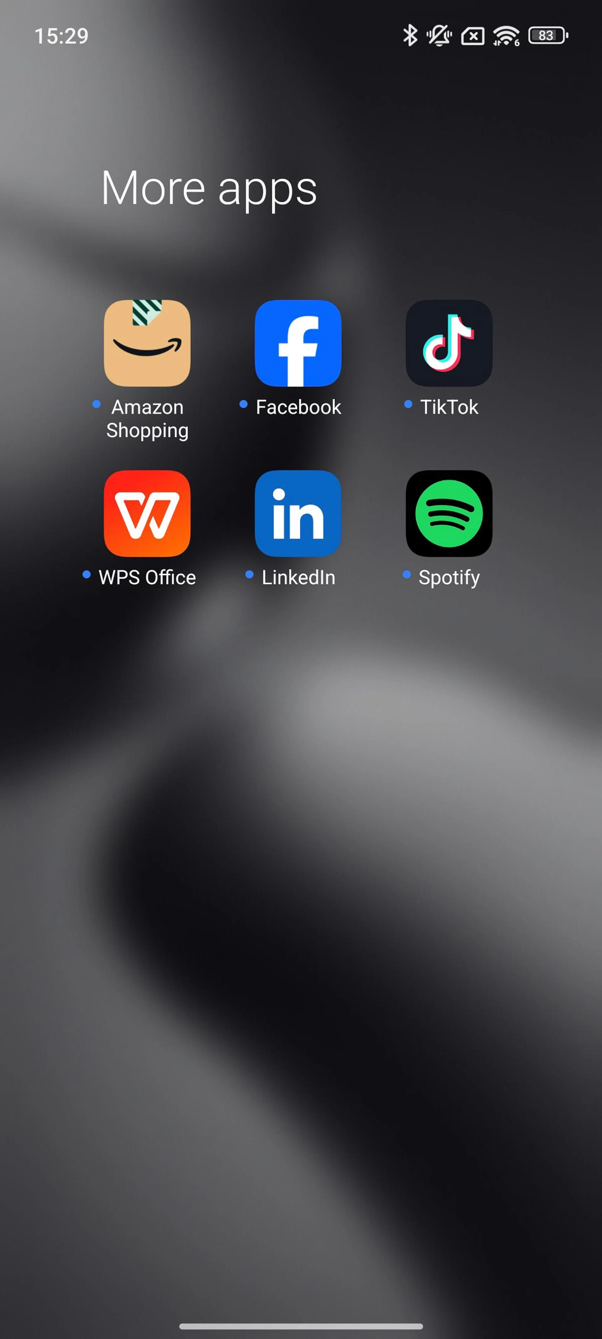 Preinstalled apps, but at least some are useful. Photo: HWZ.