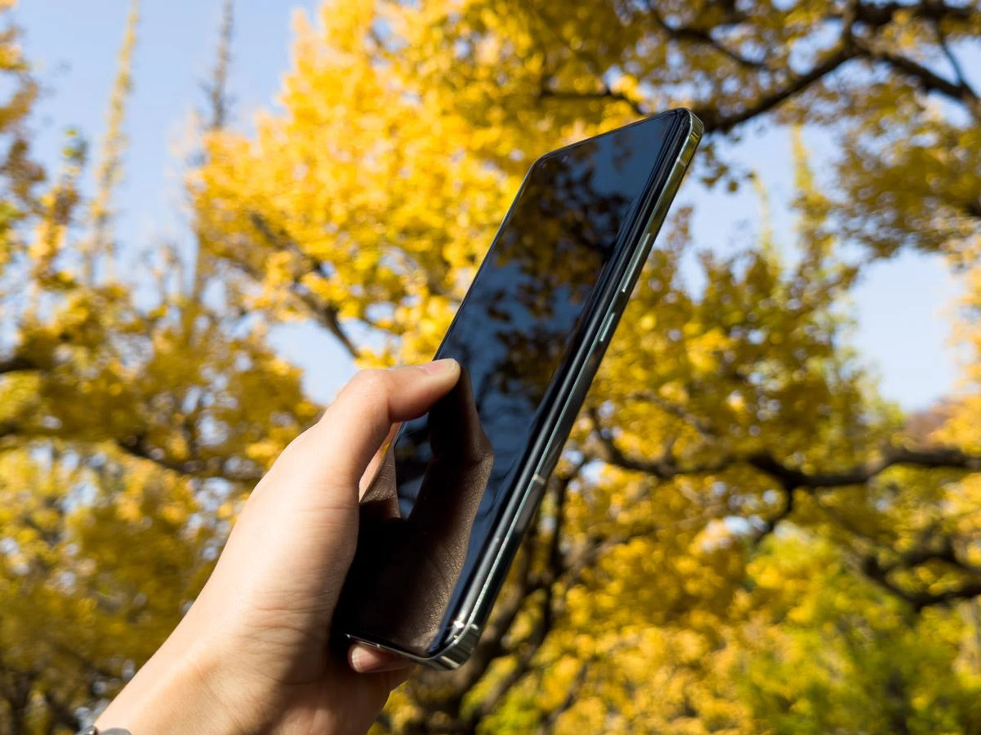 Left and right edges of the screen are more curved.