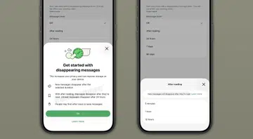 The purported “disappearing messages” interface on WhatsApp