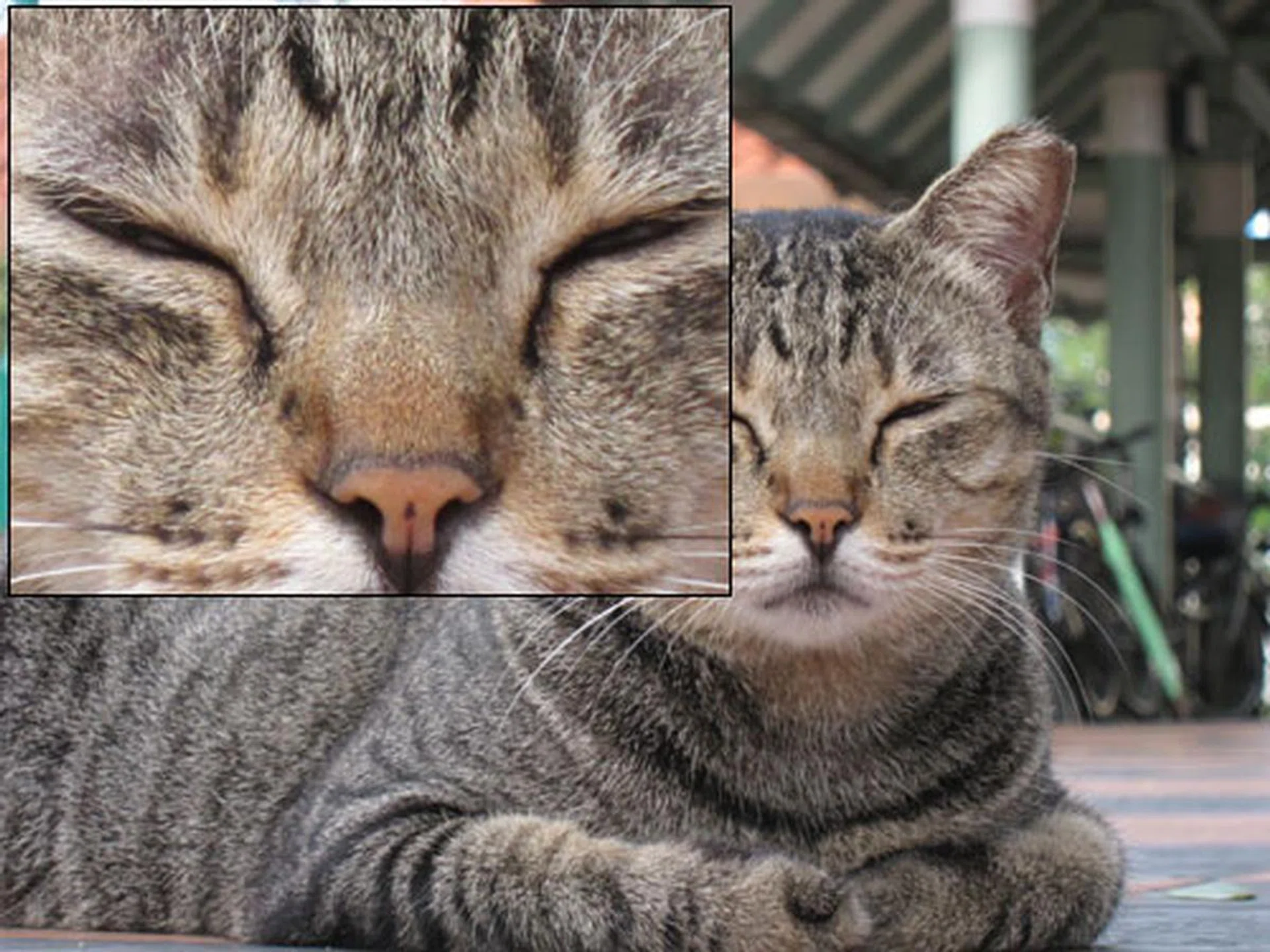 The S90 captures a lot of fine detail. Shot at f/4.9, 105mm, 1/250 sec, ISO400. Click for the full resolution image (warning - large).