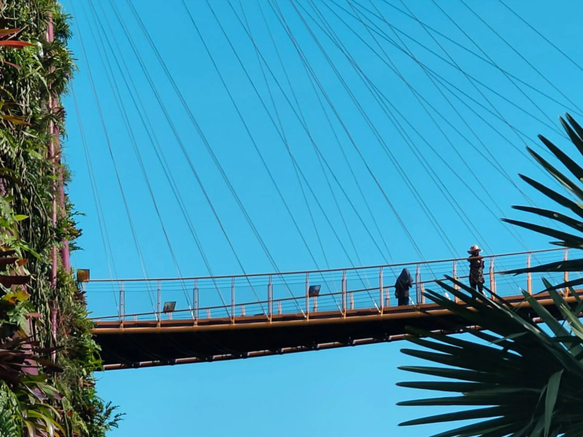 Reno 10x Zoom - 10x zoom. (Click for full resolution image)