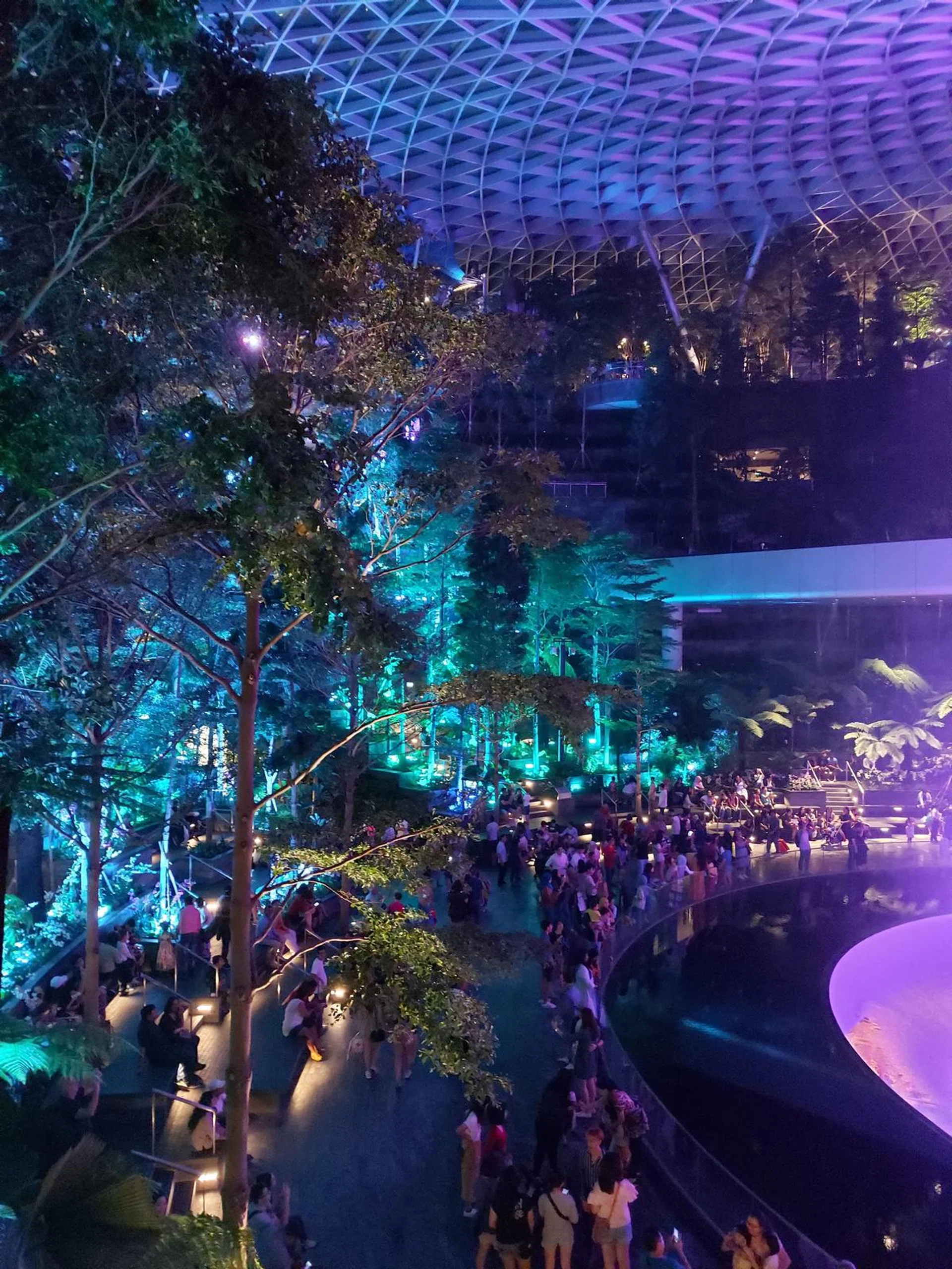 And the software tries to fix this loss of detail by applying an almost grossly unnatural amount of edge sharpening. (Click to see the original full-size image)
