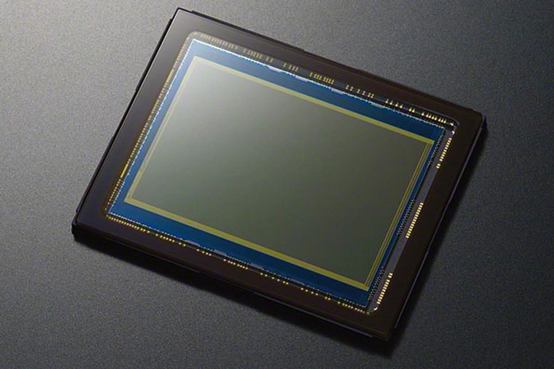 Will we find the same sensor on the much-rumored Nikon D600 DSLR?