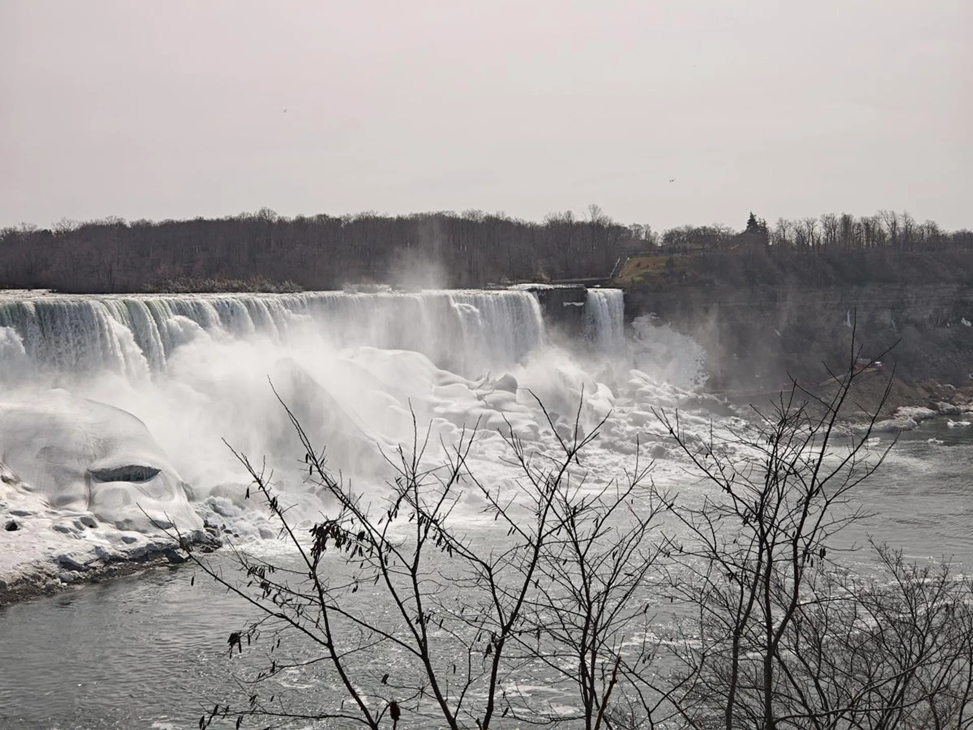 x2.6, or telephoto lens used, shot on Leica Vibrant color preset. Note the slight loss of color vibrancy between the previous photo and this.