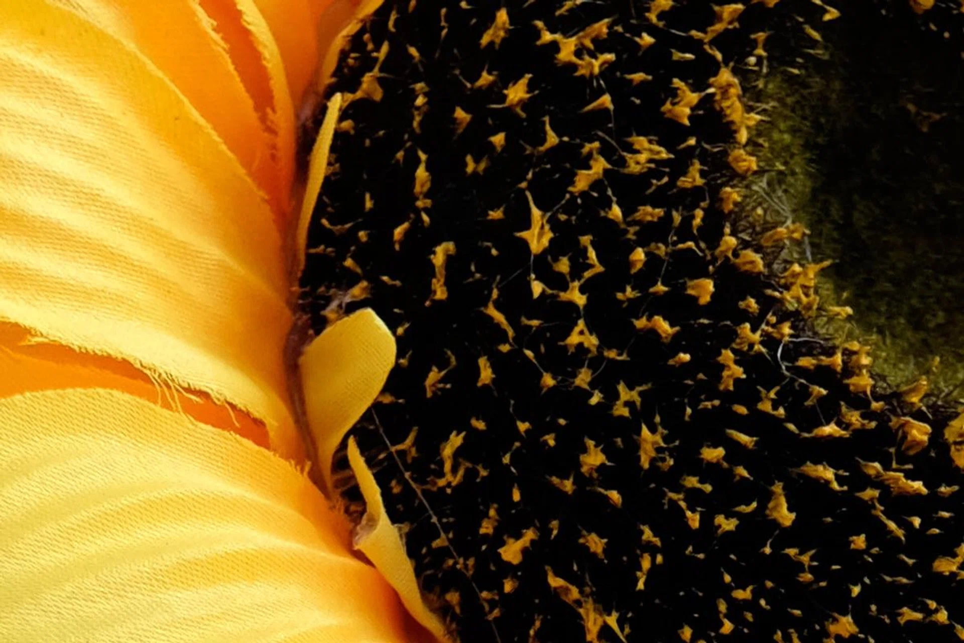 100% crop.