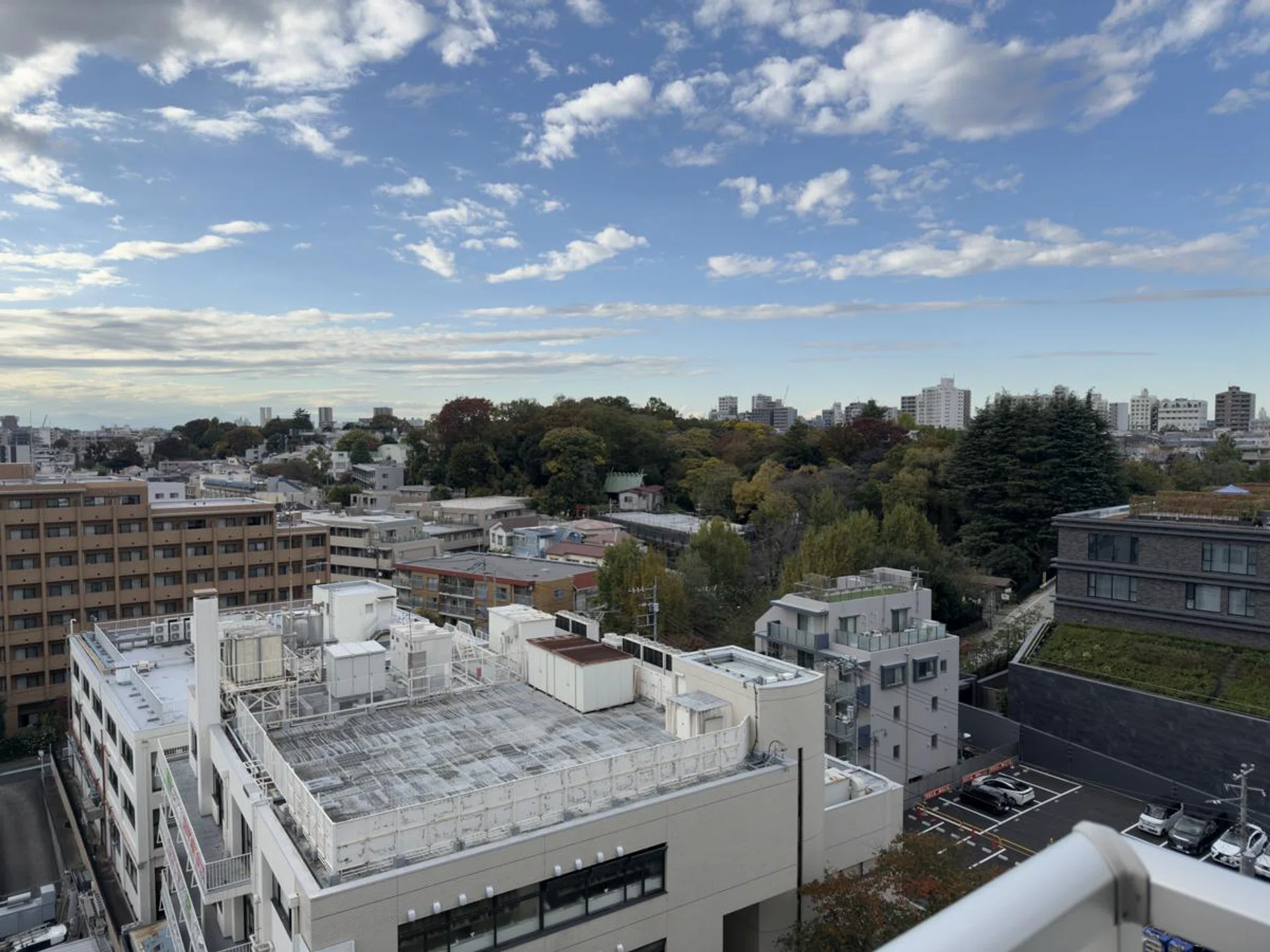 Sample image taken with iPhone 16 Pro. Our target subject is the green shrine among the forest. Photo: HWZ.