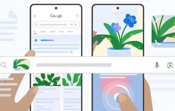Photo: Google.
