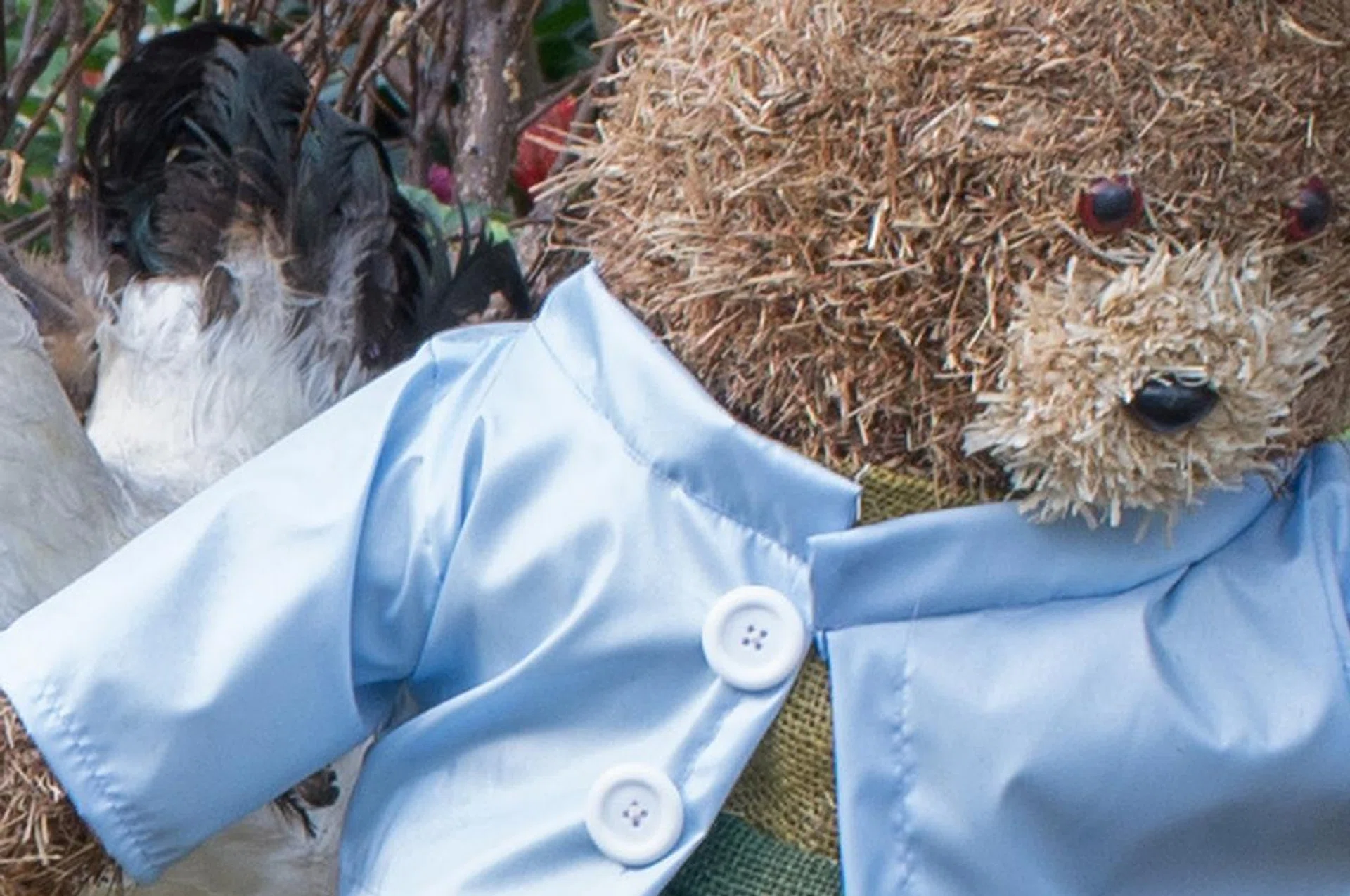 100% crop, f/8 at 35mm, 1/55 sec, ISO 400.