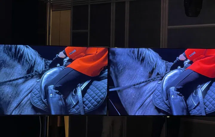 The image on the right with the redder reds and blacker blacks uses the Quantum Color Backlight technology.