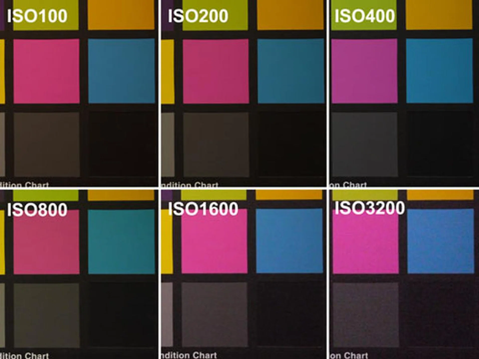 Images remain clear until ISO800, at ISO1600 chromatic noise is visible but acceptable, while ISO3200 is too noisy. Click for full resolution image (large).