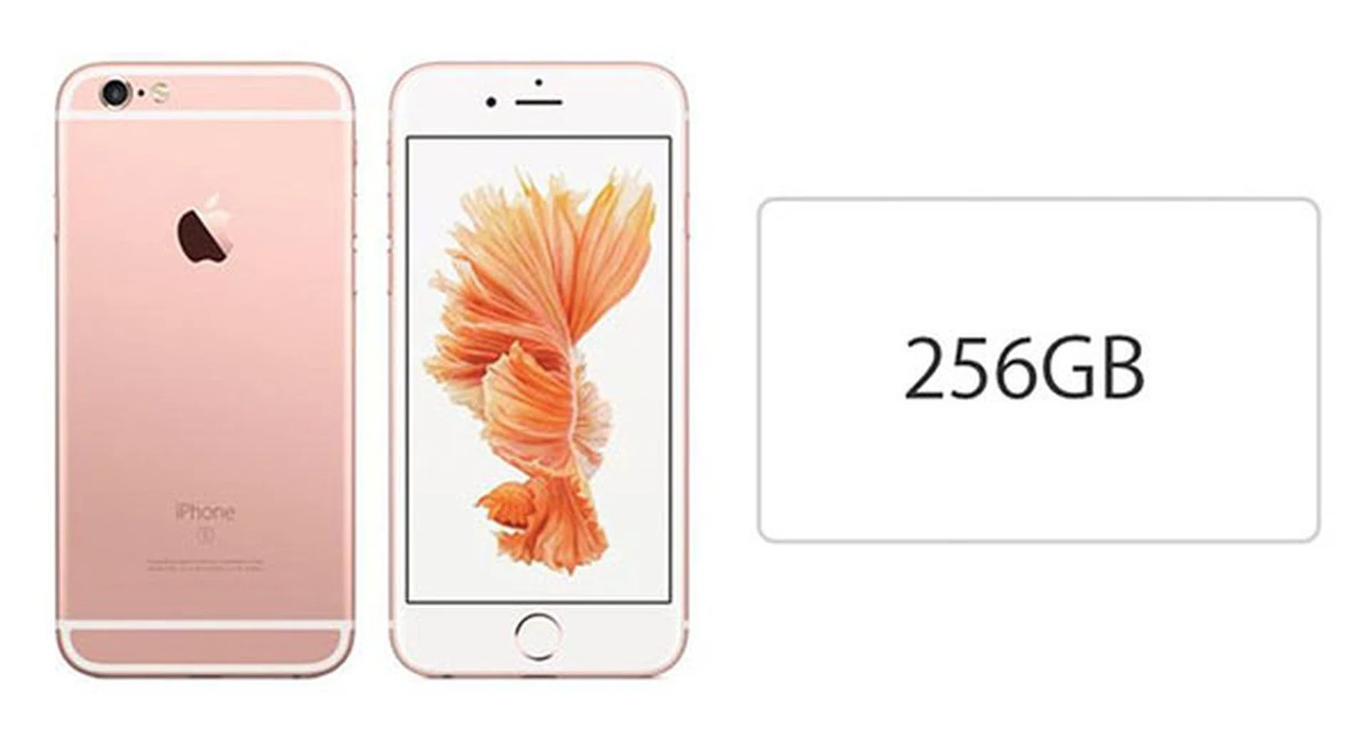 Image source: Macrumors