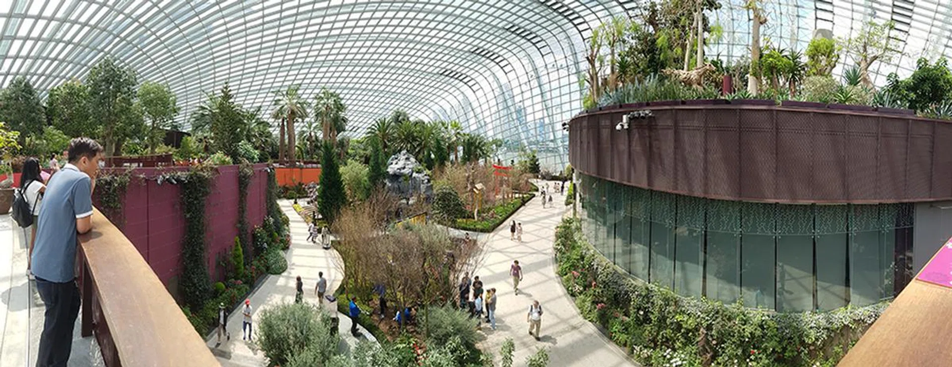 Panorama. Samsung Galaxy S7 Edge.