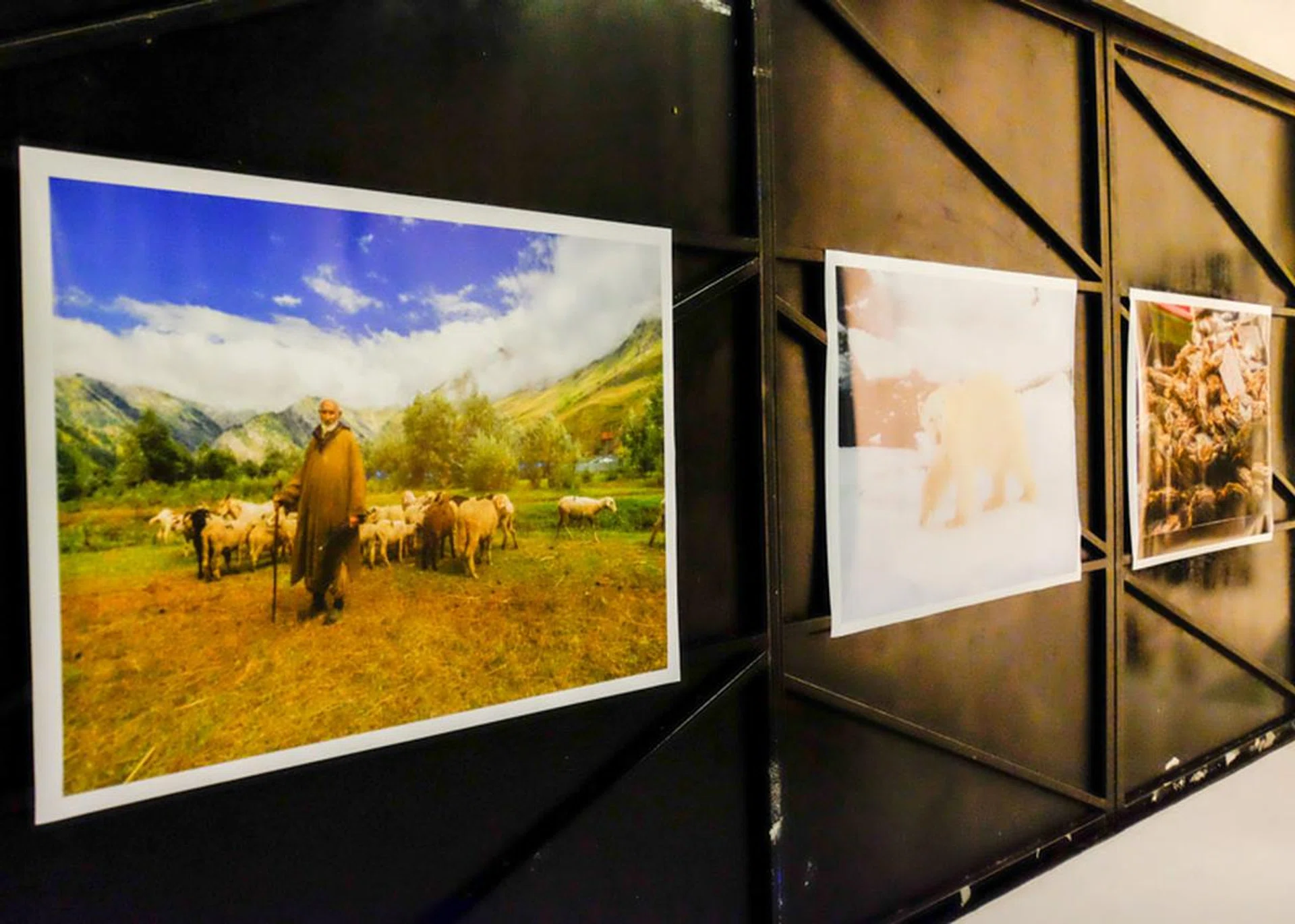 Nothing better than large sized prints to see the quality of a camera.