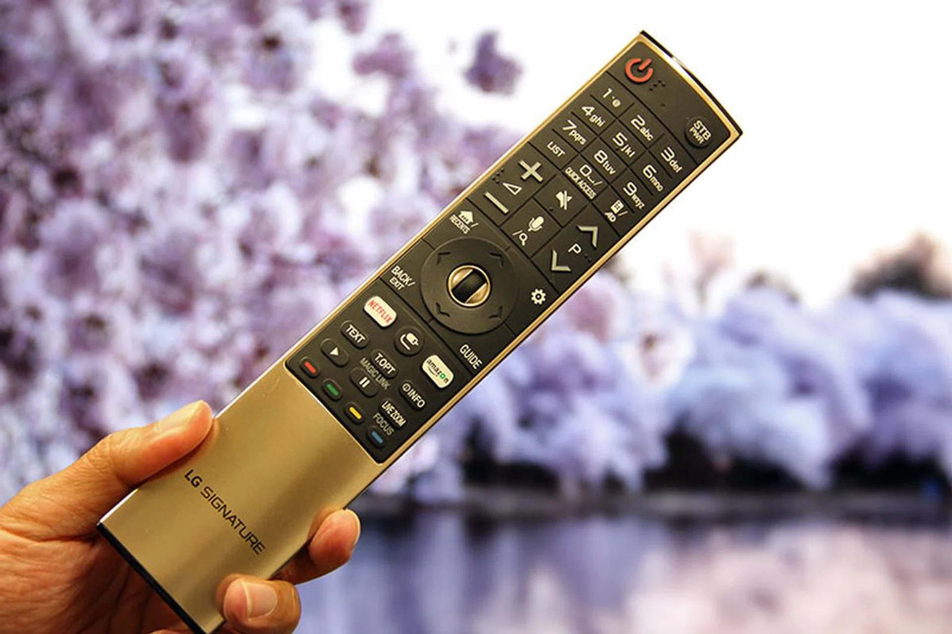 To make you feel like you're getting your money's worth, the Signature models' Magic Remote (which is nearly identical to the one for the E7T) has an additional LG Signature logo printed at the bottom. Little touches, people.