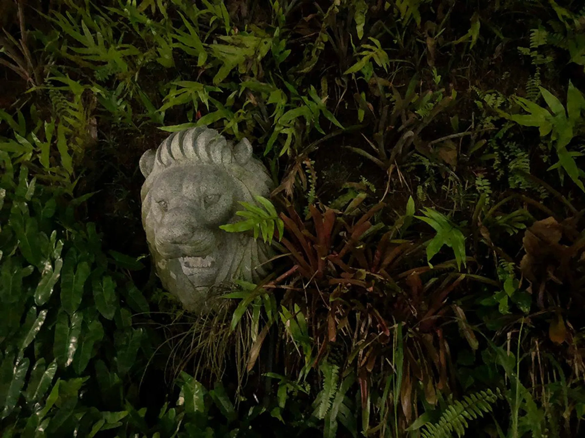 Apple iPhone 8 Plus, f/1.8 with wide-angle, 1/4 sec, ISO 2,000. For comparison’s sake, here’s a shot of the same scene with the iPhone 8 Plus. f/1.8 is a comparatively fast lens, but the iPhone 8 Plus has to climb up to ISO 2,000, with the same shutter speed, to get this level of brightness.