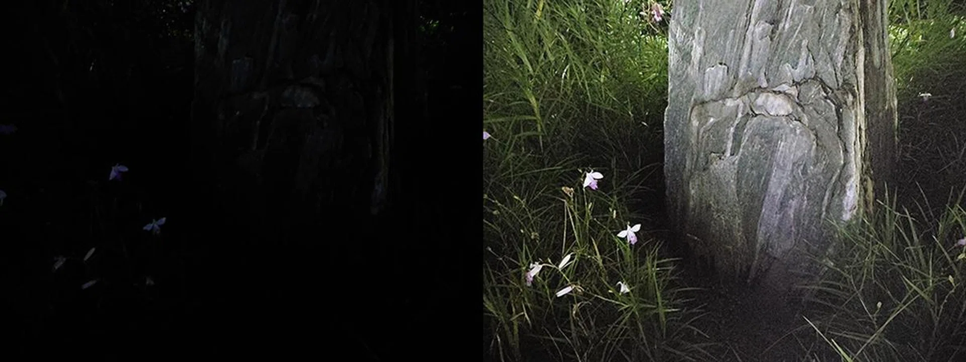 UHS does best in scenes that are evenly dark, not scenes that have bright and dark contrasts. At ISO 3,200, this scene is a complete blank (left), which is what it looked like in real life. With UHS turned on, the camera shoots at ISO 51,200 and captures more than what the eye can see.