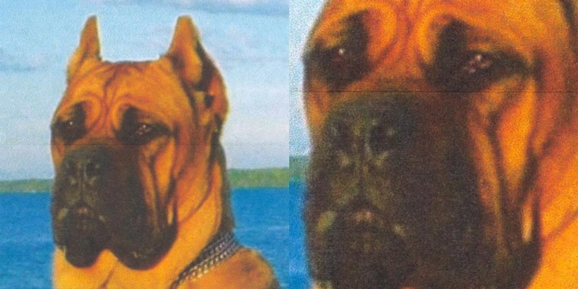 Close-up scan of its colour image print capability. 