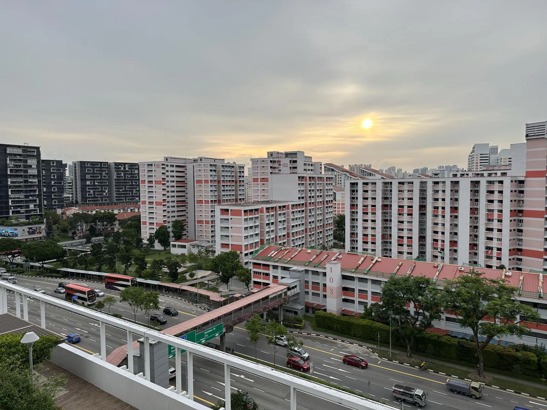 Taken with the iPhone 14 Pro Max's main camera. Click to see the image in its full resolution.