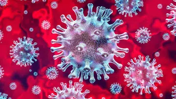 The 2019 novel coronavirus or 2019-nCov. <br>Image source: WedMD