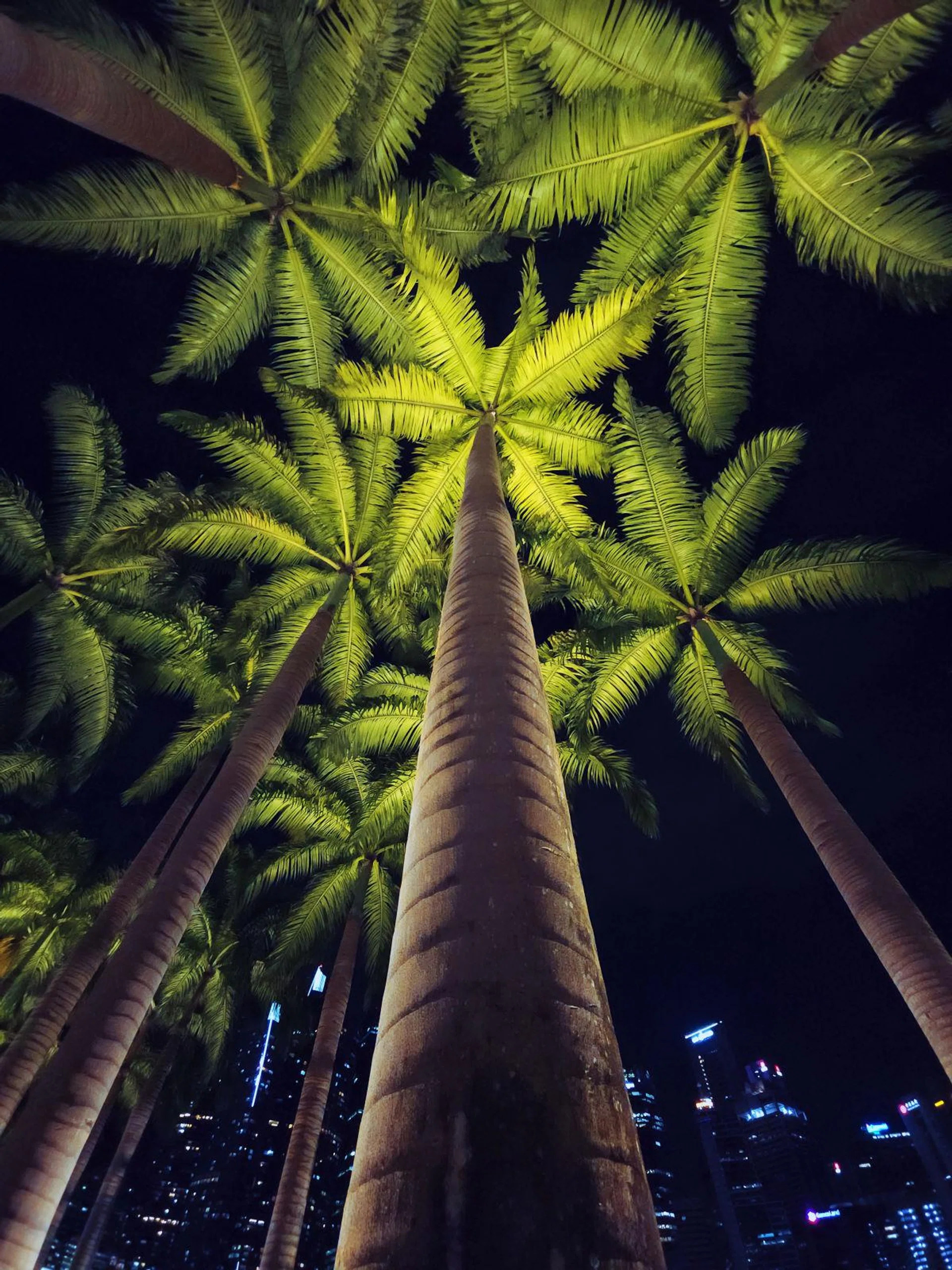 Geoff Ang's Tip: Look every where but straight. (Photo by Geoff Ang)