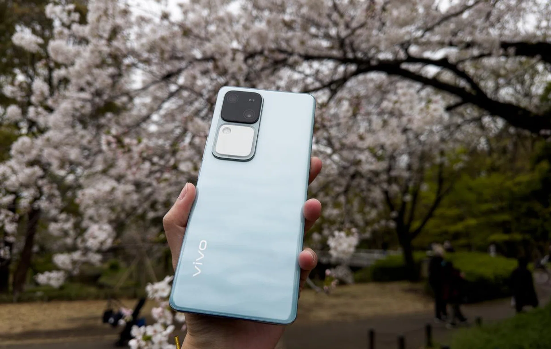 Vivo V30 under cherry blossoms.