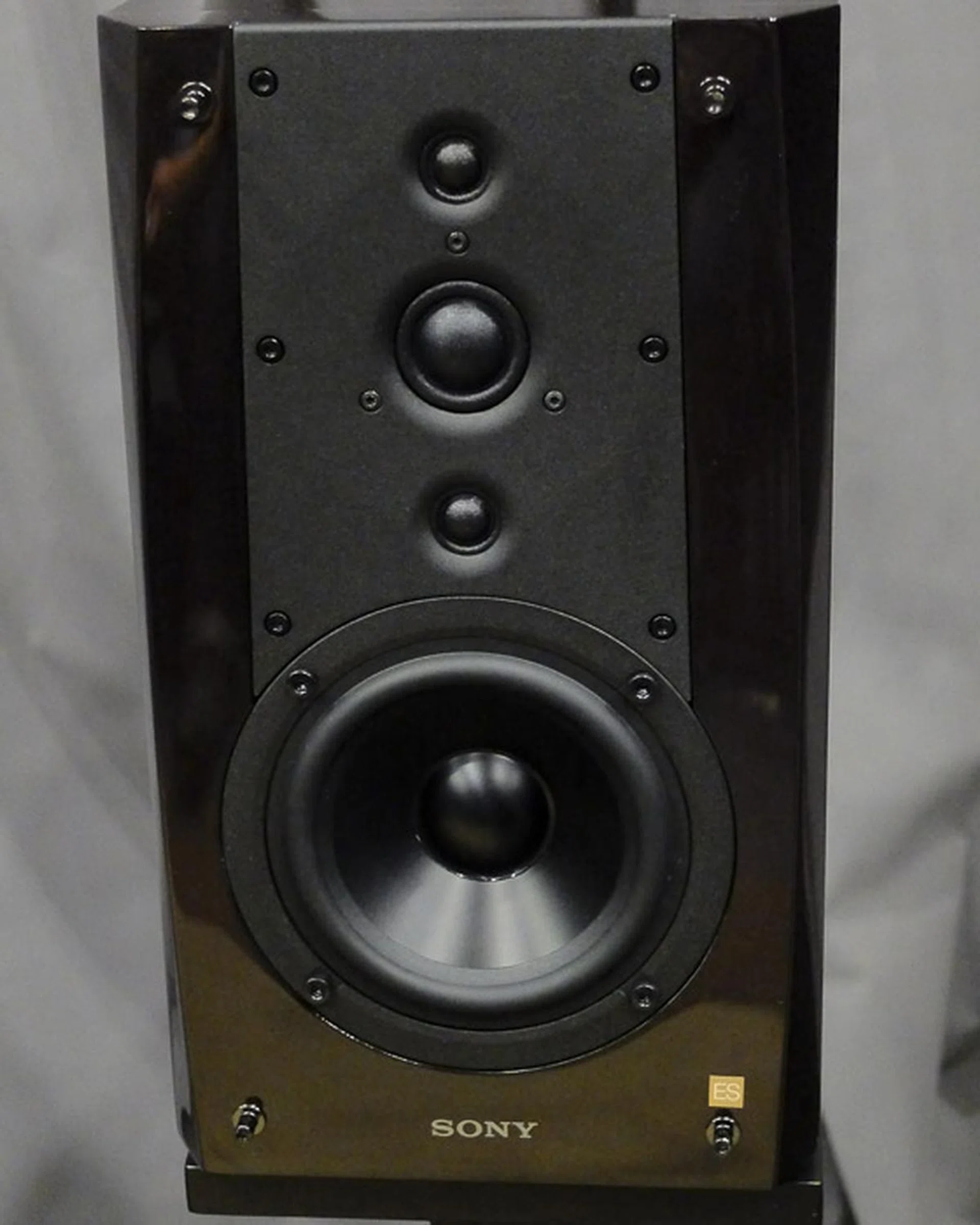 A close-up of one half of the Sony SS-NA5ES bookshelf speaker set.
