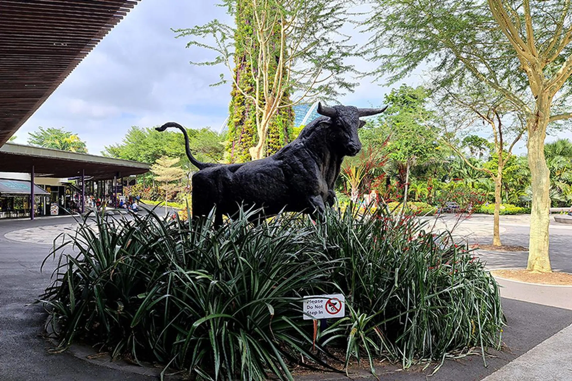 Galaxy S20 Ultra. (Click to view full-size image)