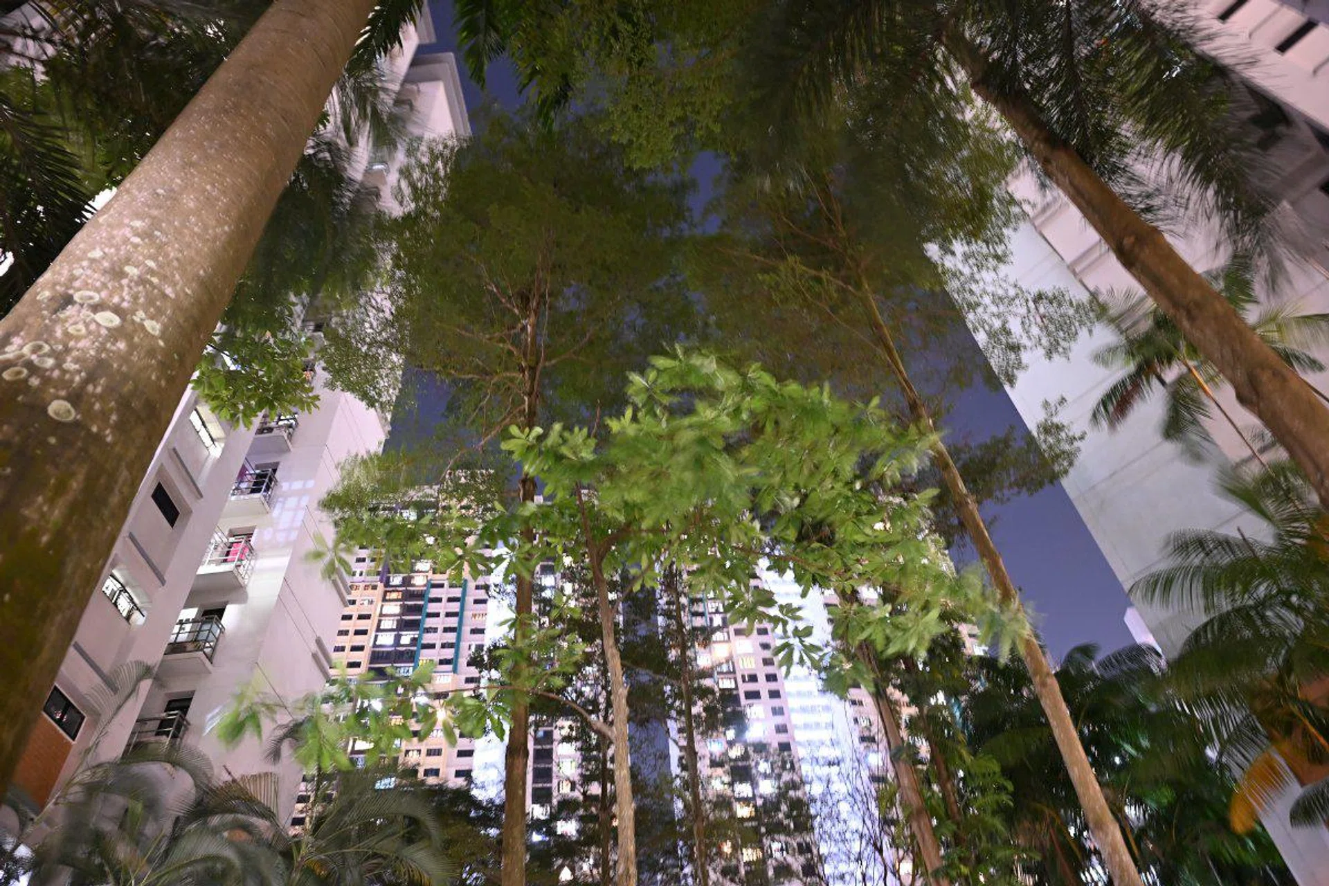 Shooting info: 24mm at f/4, 2s, ISO 1600. Image Source: HWZ