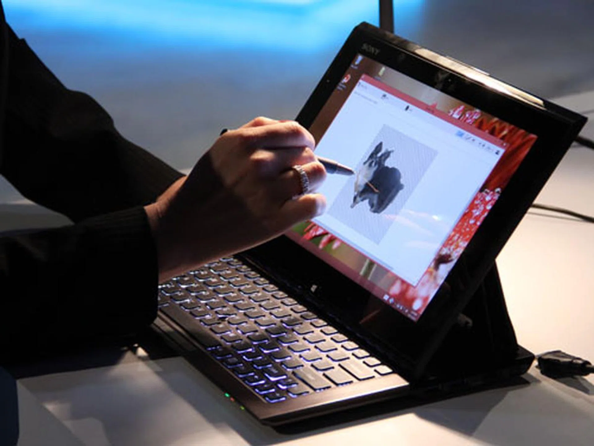 Ayumi Hashimoto showing us the Active Clip app to cut out this picture of her dog.