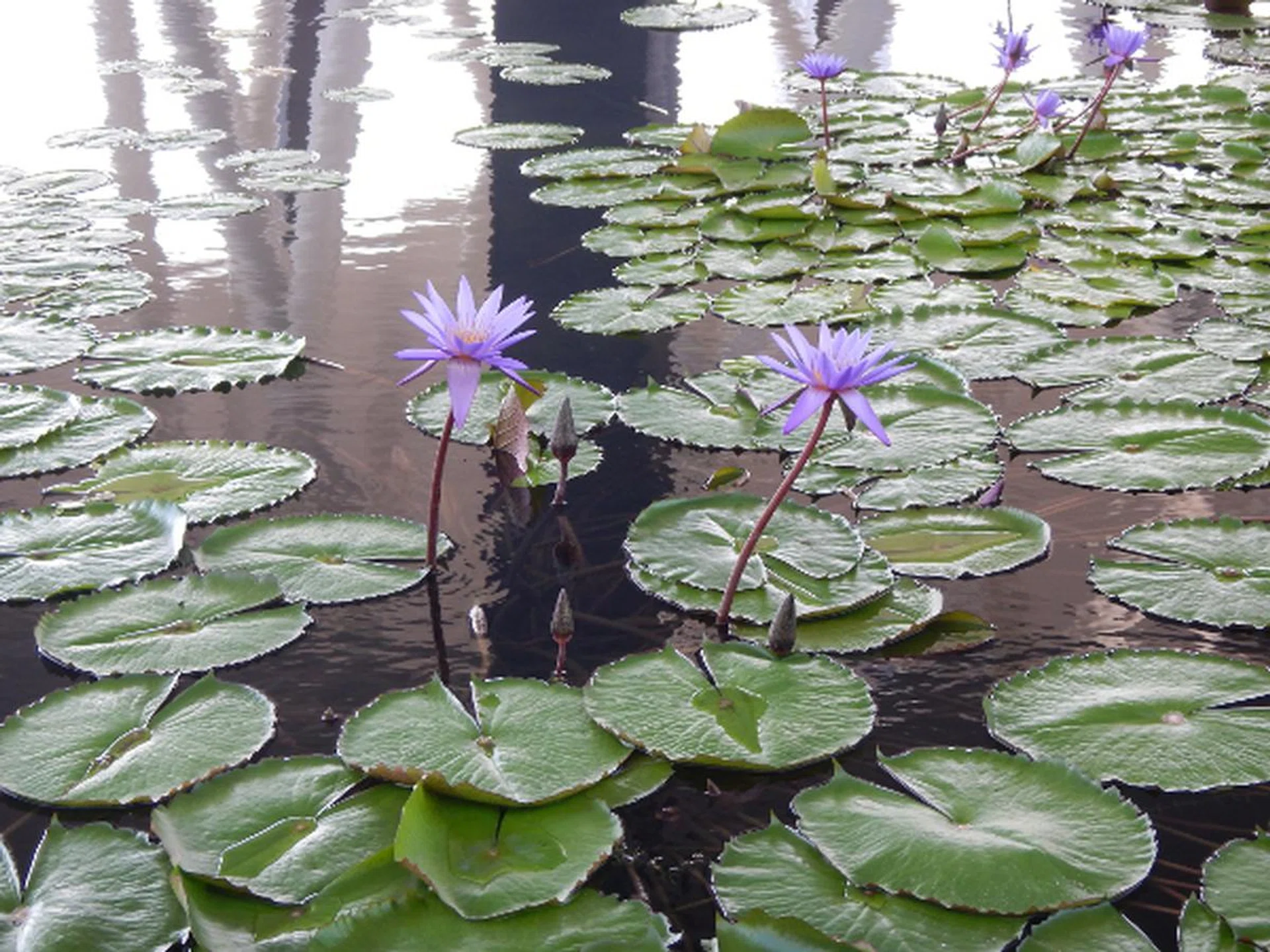 f/4.3 at 71mm, 1/80sec, ISO125