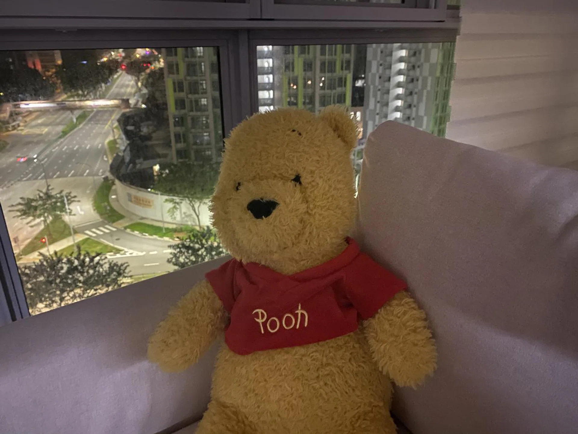 With Night Mode, the iPhone 11 Pro Max takes much more usable image. Click to see image in full resolution.