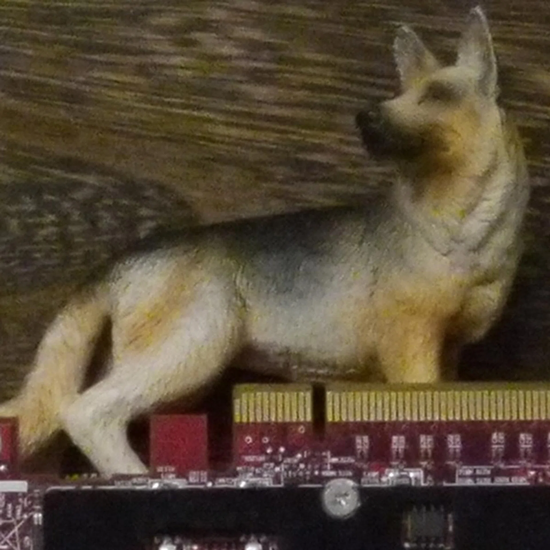 ISO3200, 100% crop. Click for full resolution image.