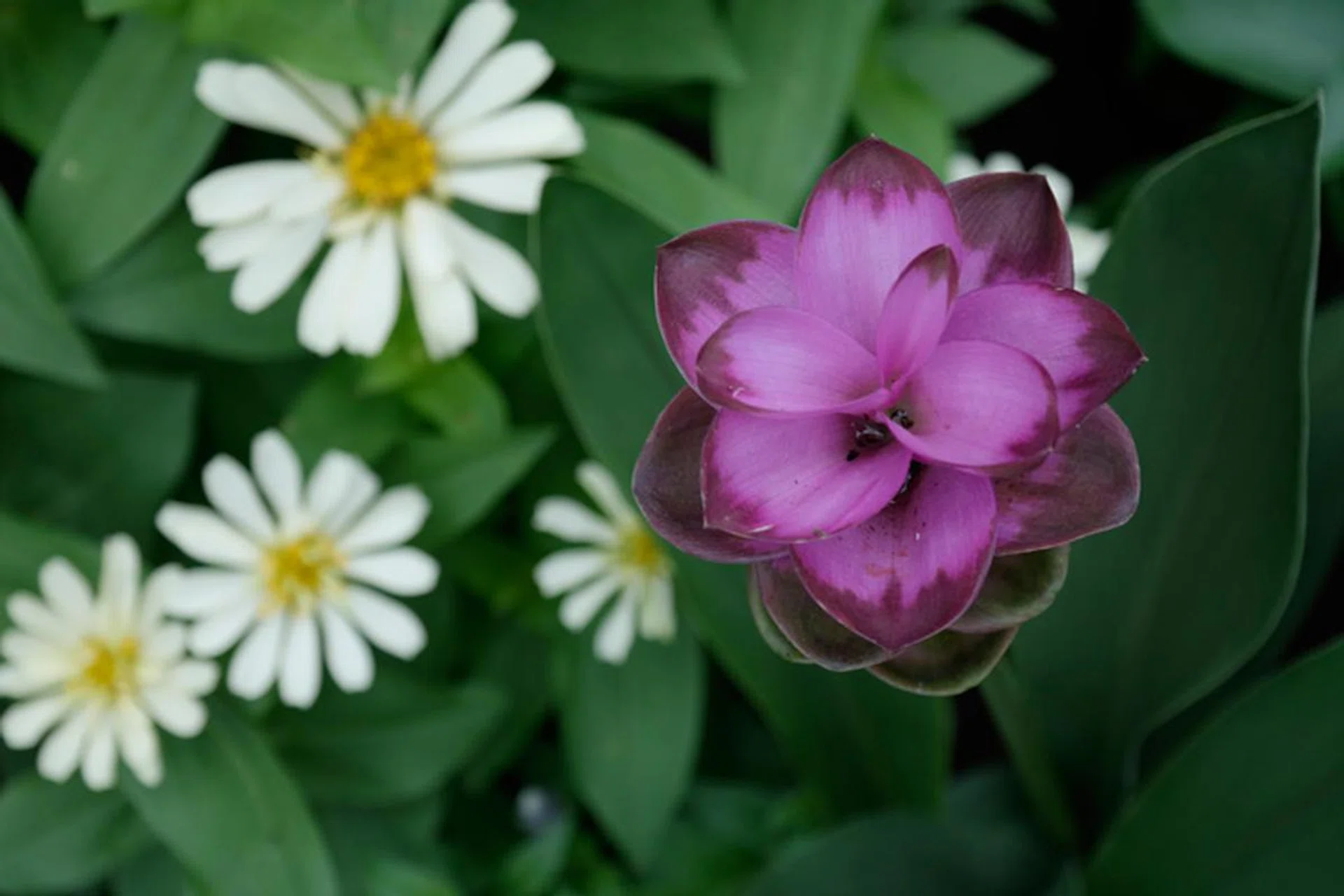 f/5.6 at 84mm, 1/80 sec, ISO 400.