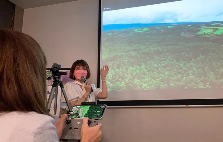 Image: Vivid Creations