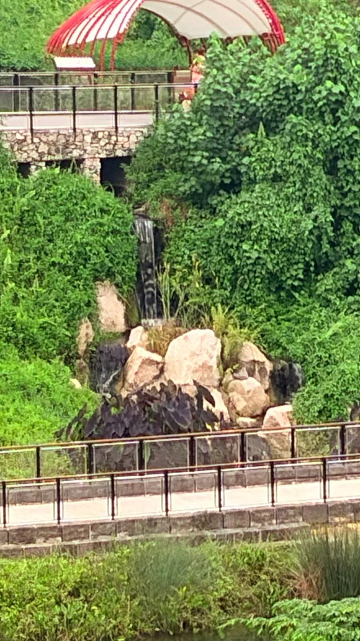 iPhone Duo 10x camera sample
