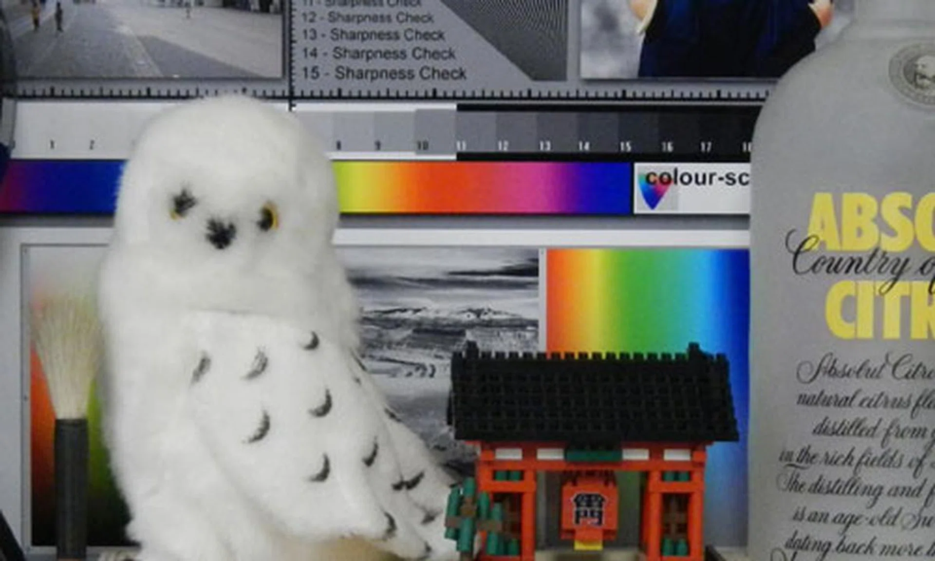 100% crop of our test scene shot at ISO800.